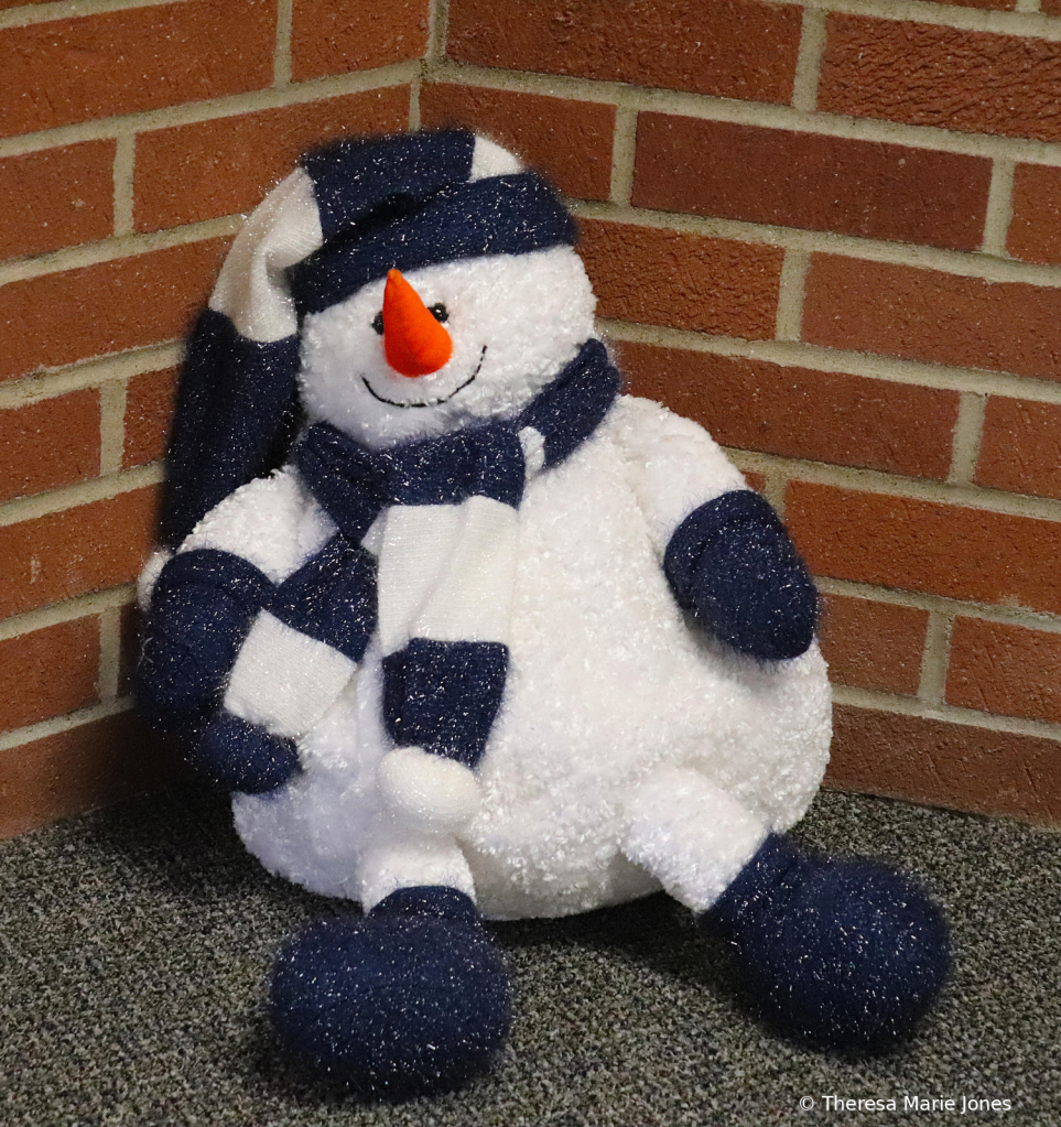 Snowman at BRC