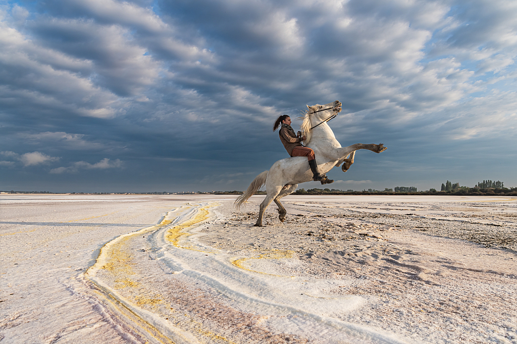 Aux Salins Aigues Mortes 4
