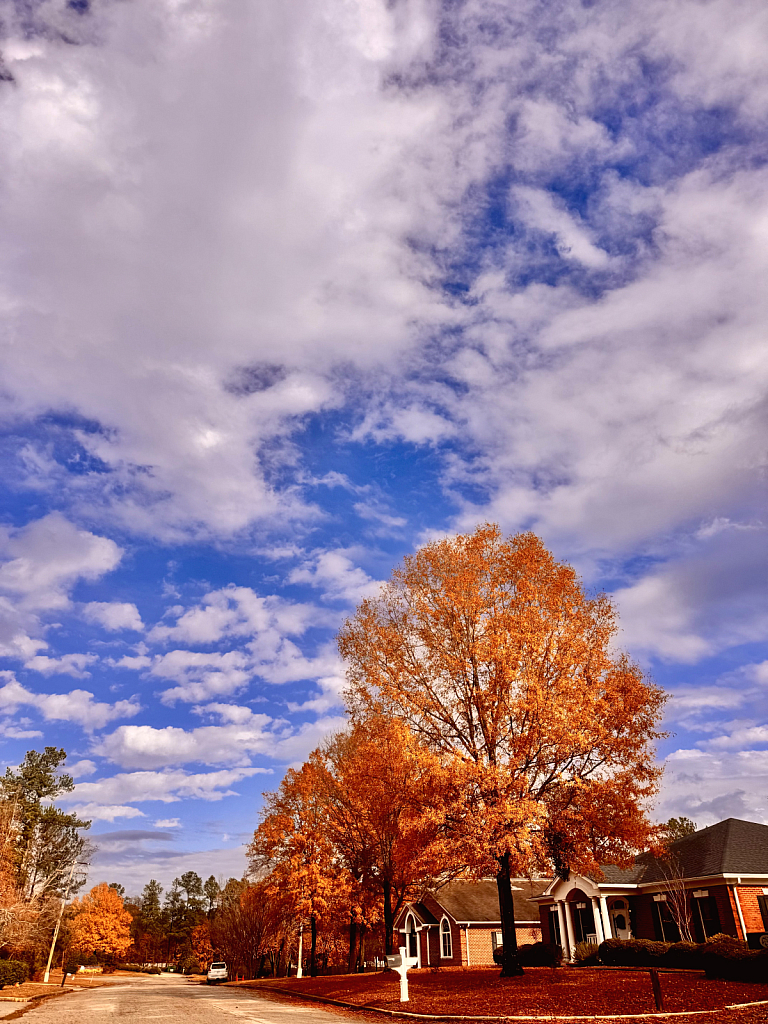 Street colors 