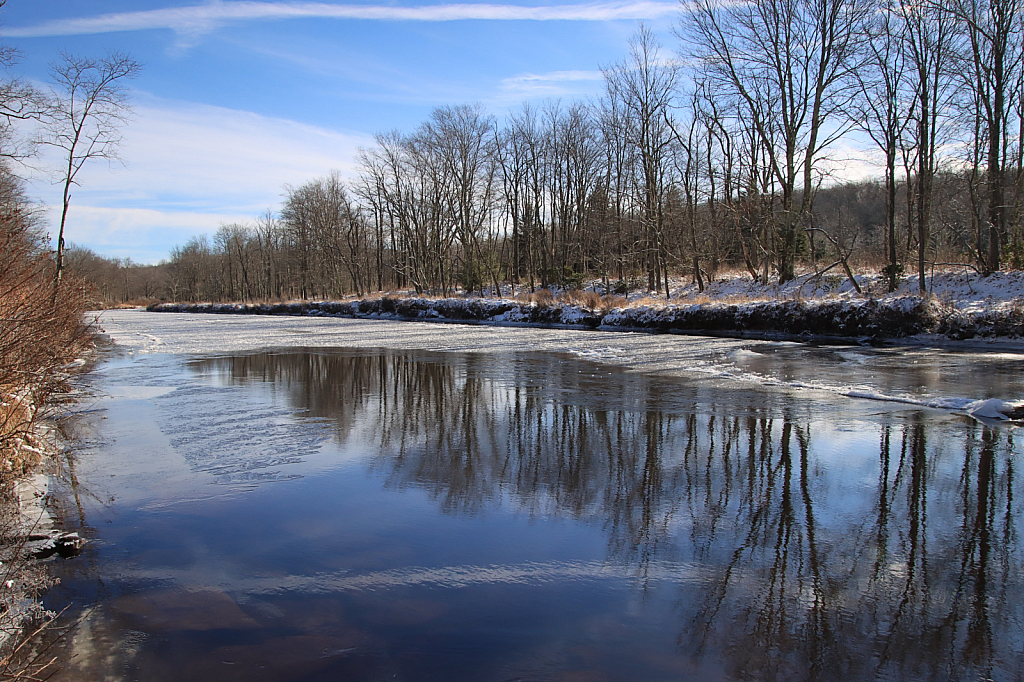Winter Reflection