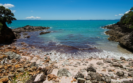 Matarangi Coastline
