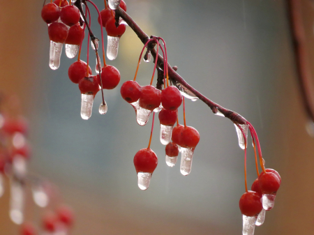 Closeup On Ice