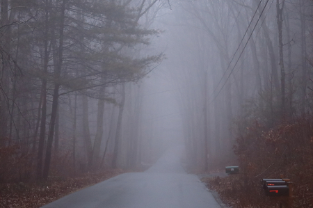 Foggy Pike Rd.
