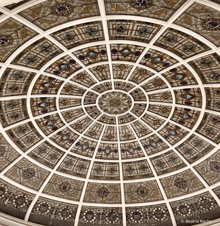 Looking Up