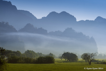 Peaceful Morning