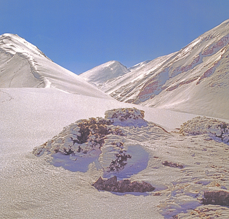Frozen Peaks.