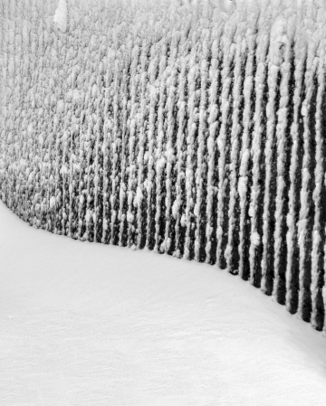 Snow Fence