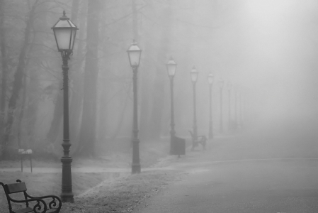Fade Out