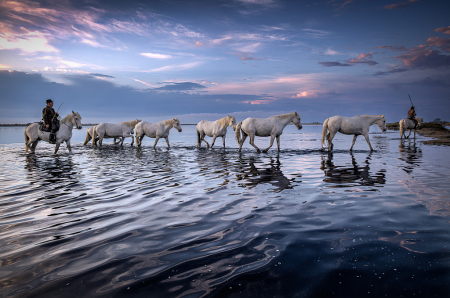 Guardian in the water at sunrise 8
