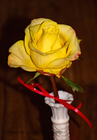 Saturday Evening Rose
