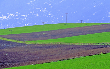 Rural Landscape.
