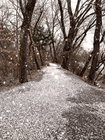 Bit of Snow