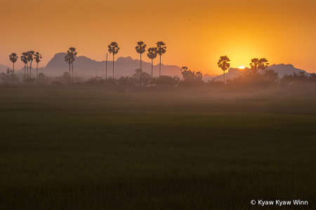 Just Before Sunset