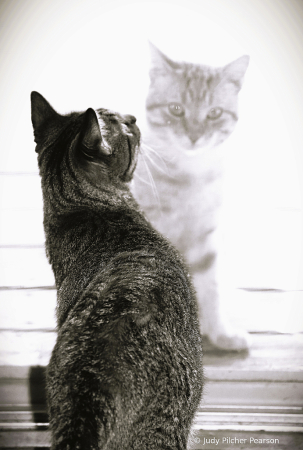 a door between us.....