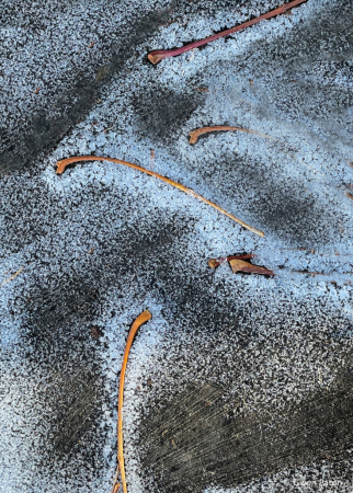 On the Ground