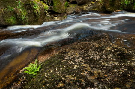 Fluid Tsjechie