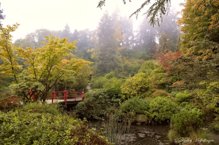 Poetic Landscape