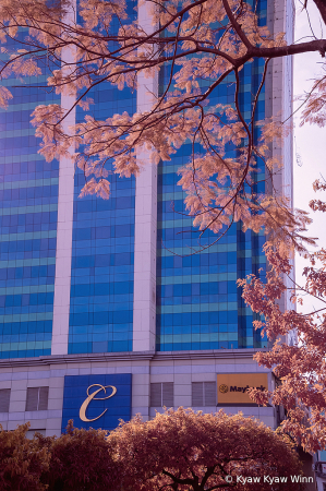Color of IR