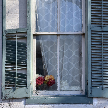 Windowed