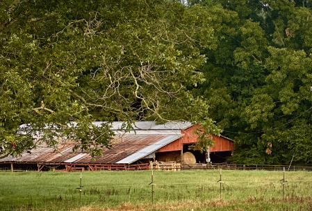 Down at the barn 