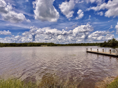 Sunny lakeside
