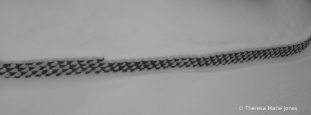 Snow Shapes