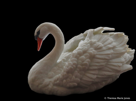 Swan