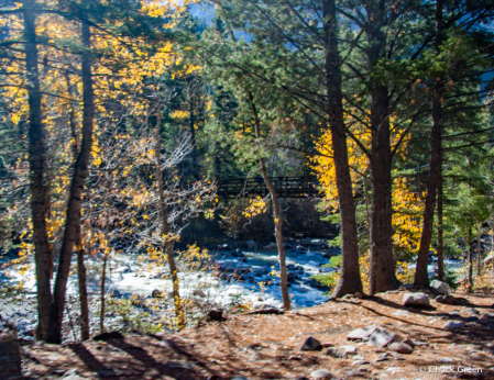 Footbridge Over Animas River