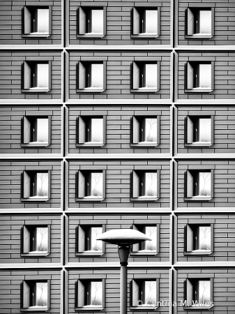 Windows with Street Lamp 