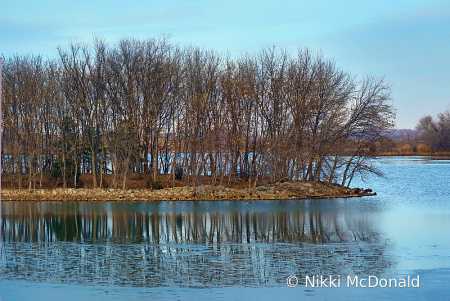 Walnut Lake in Winter