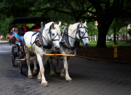 Carriage Flow