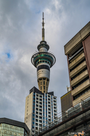 DSC_2638