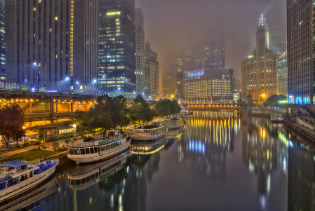 Foggy Morning