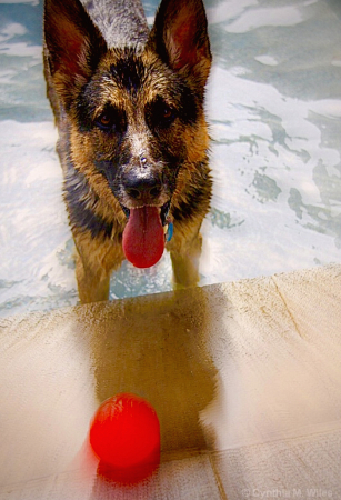 Playtime for Daisy 