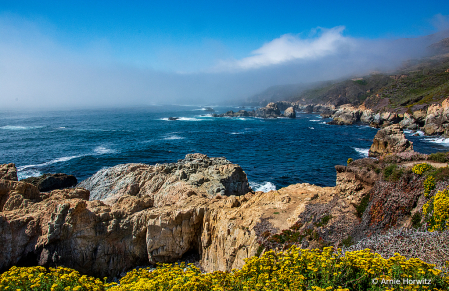 Clearing Coastal Fog