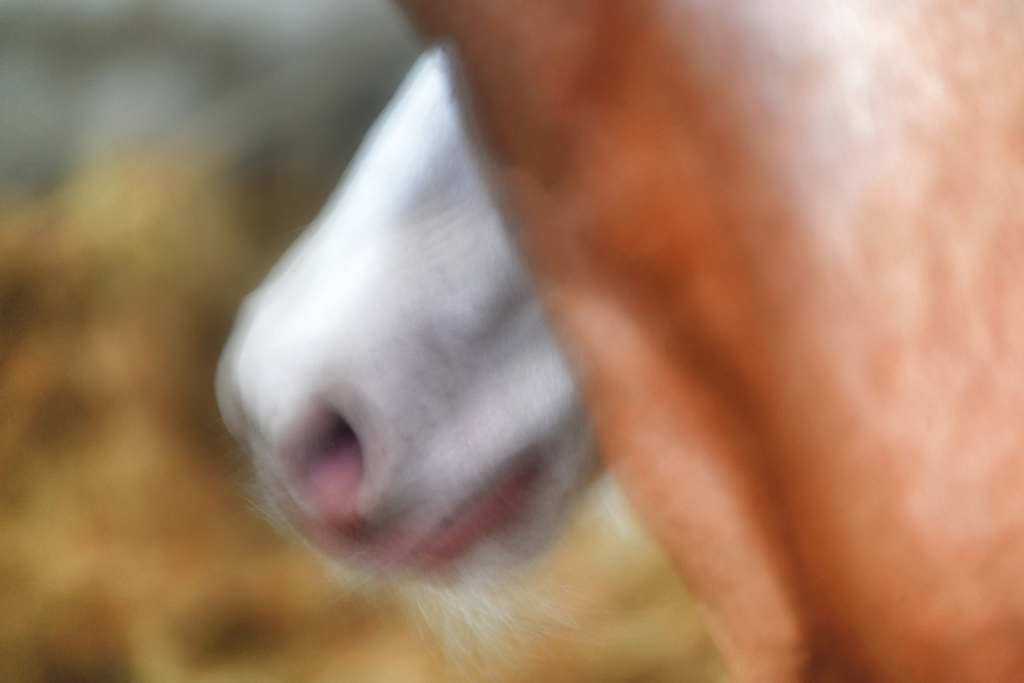 img2