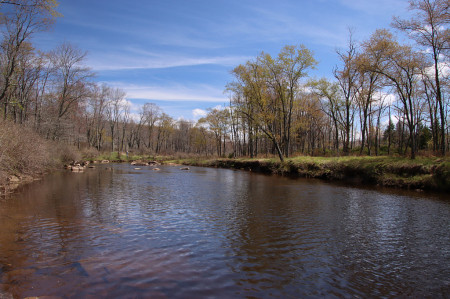 Early Spring