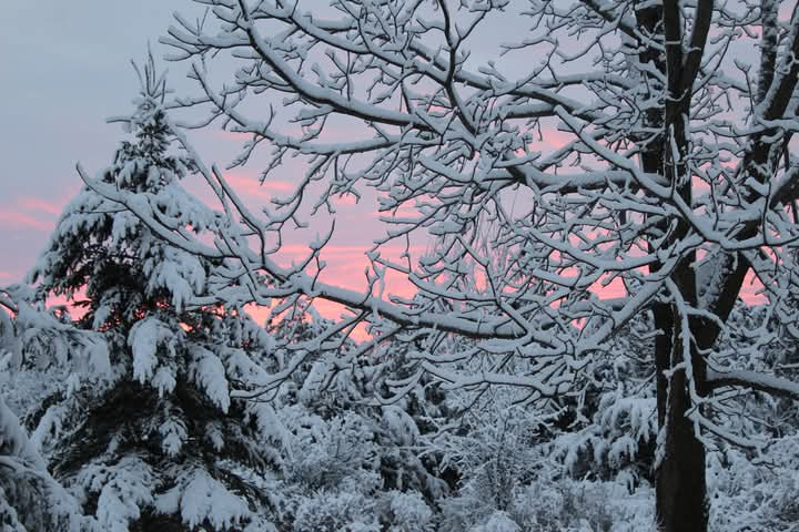Winter's Kiss