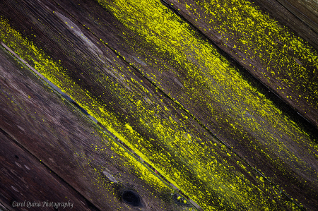 That Natural Patina