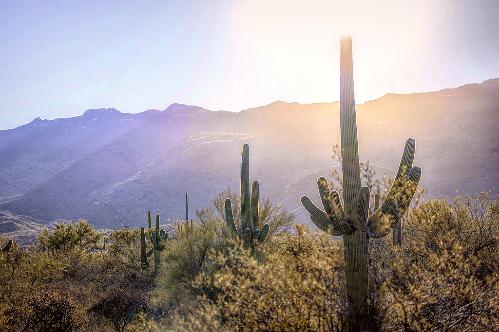 Tucson at Sunrise!