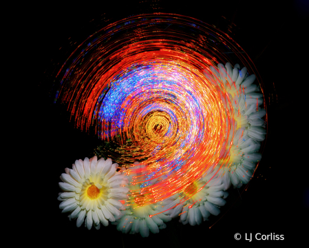 spun fiber