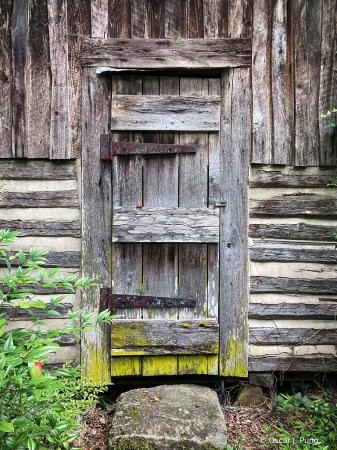 North Carolina Shed Door