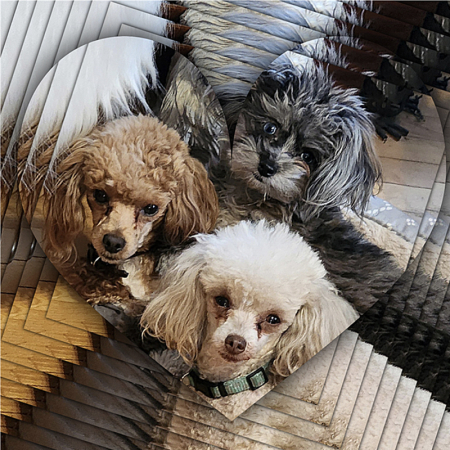 A Heart of Poodles