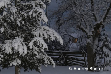 Winter Stillness 