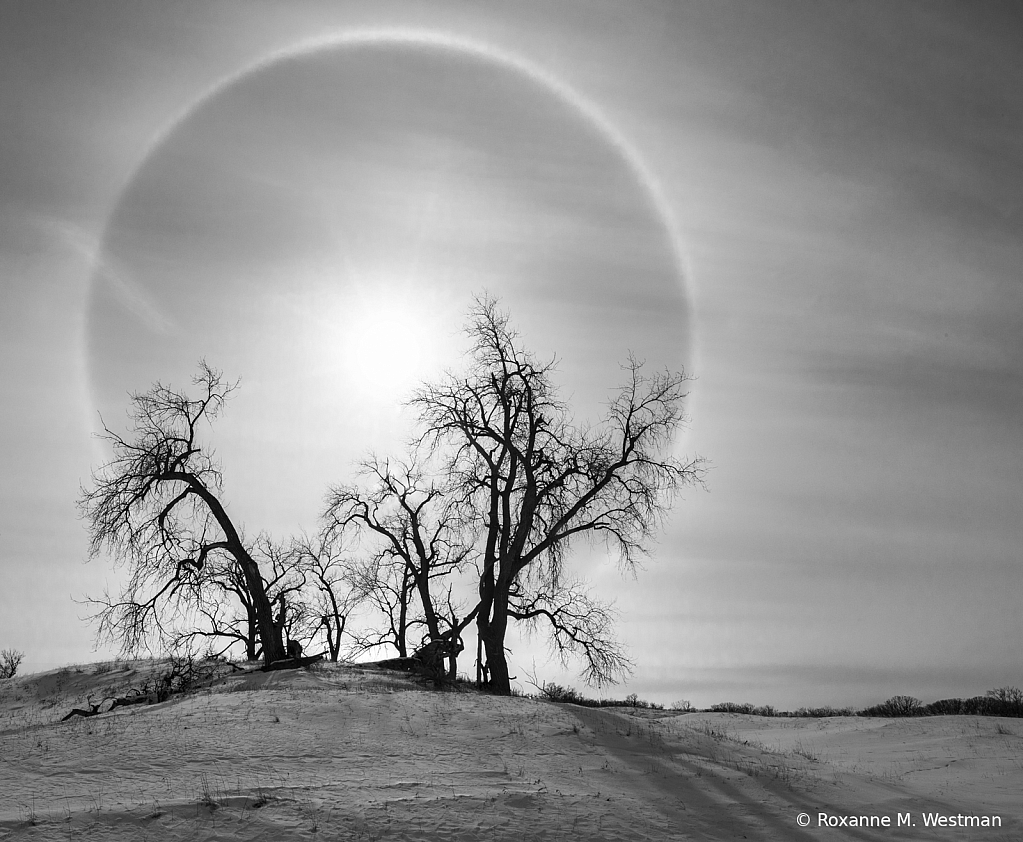 Sun halo and Winter beauty on a hill - ID: 16136612 © Roxanne M. Westman
