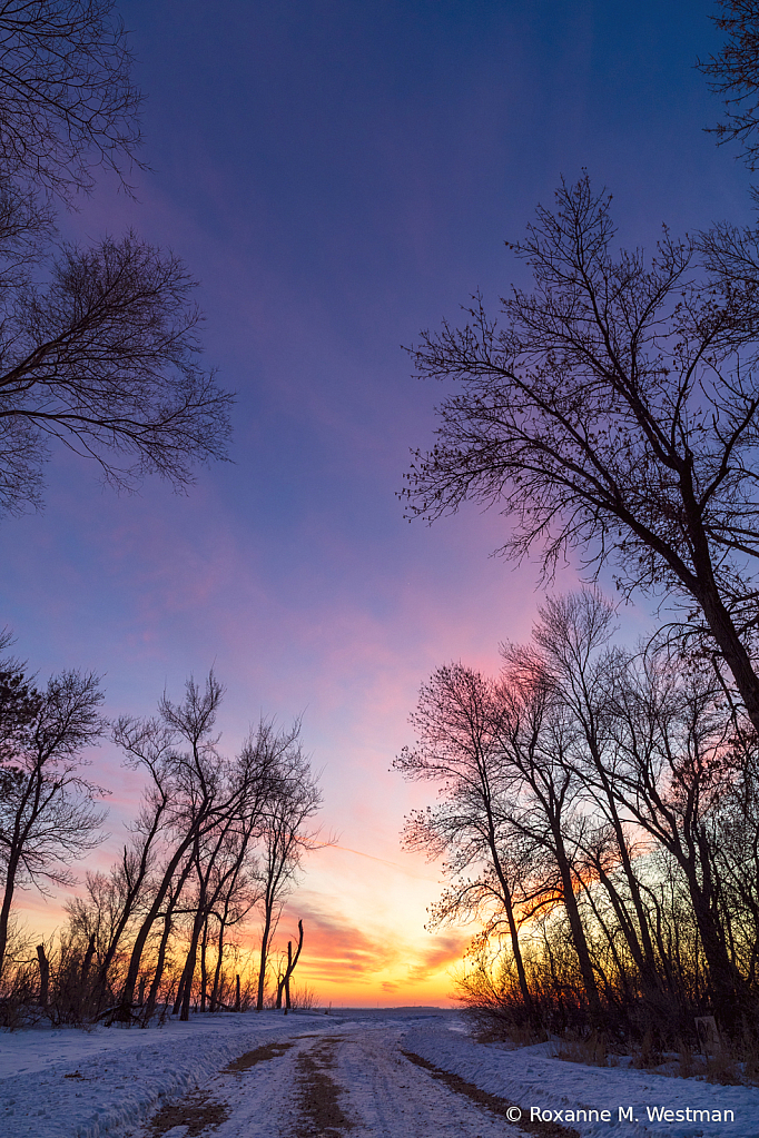 Winter Trail to the sunset