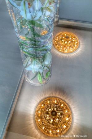 ~ ~ REFLECTING THE LIGHT ~ ~ 