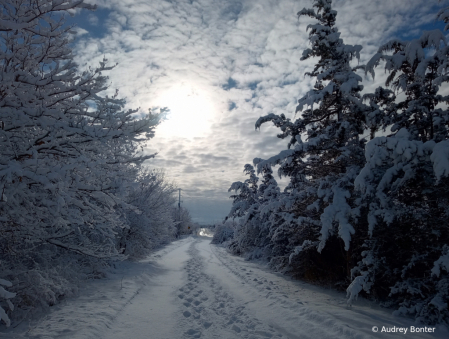 Long winding Road 