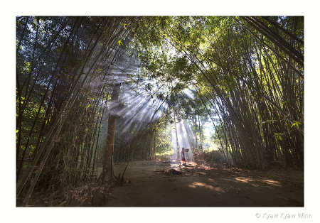 Under the Ray