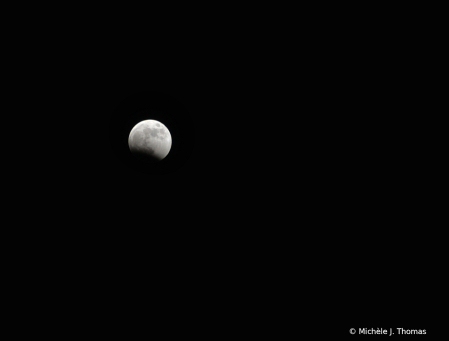 Moon Eclipse from my Backyard!